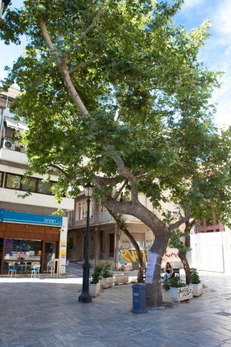 Plato's Square Apartments