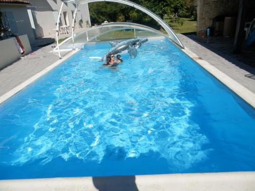 un dauphin et une personne dans une piscine dans l'établissement Au pré du Mignon aux portes du Marais Poitevin, à Thorigny