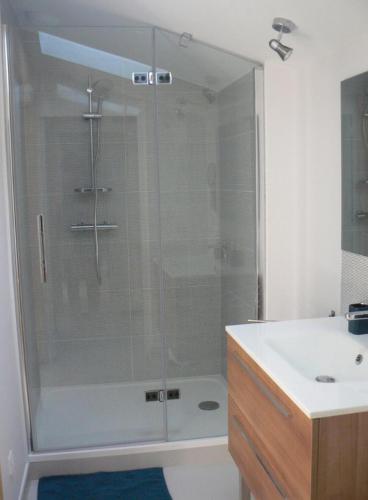 une salle de bain avec une douche en verre avec un lavabo dans l'établissement Maison calme au cœur des vignes, à Sainte-Colombe