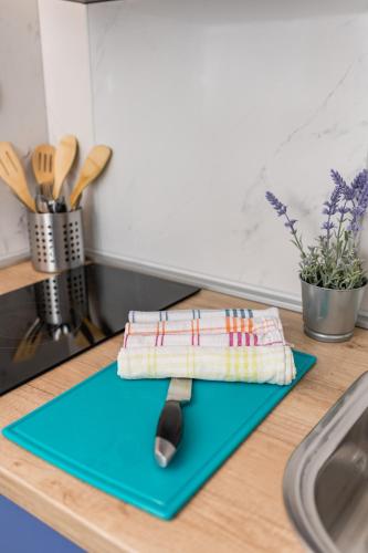 a blue mat on a kitchen counter with a spatula at Studio Apartment Harmony NP Krka in Lozovac