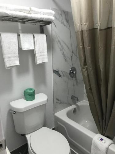 Bilik mandi di Motel 6-Alma, AR l-40