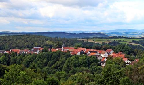 a town in the middle of a forest with red roofs at Hotel Igelstadt in Fürstenberg