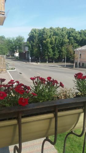 ポルタヴァにあるApartment on Pushkina 23の通りの赤い花の窓枠