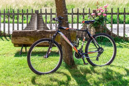 Una bicicleta estacionada junto a un árbol en el césped en Quick Home Garden Apt, en Alice Castello