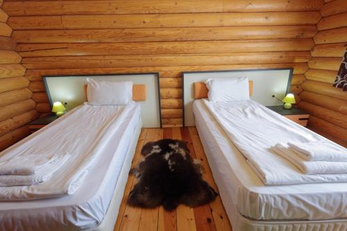 two beds in a room with a dog laying between them at Hotel Panorama in Panichishte
