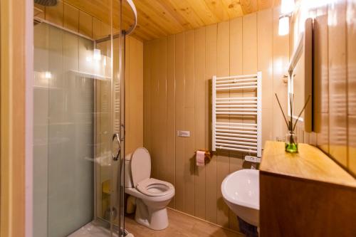 een badkamer met een toilet, een wastafel en een douche bij Les Cavaleries in Nonards