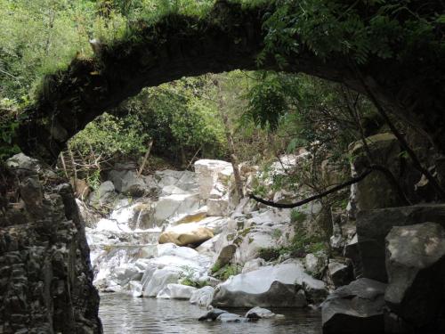 un pont en pierre sur une rivière avec des rochers et des arbres dans l'établissement Hostal Can Massot, à Anglès