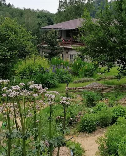 a garden with flowers and a house in the background at Bydlinská zahrádka Těšíkov in Šternberk