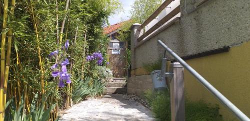 a garden with purple flowers next to a building at Ferienwohnung Wiesmühlstrasse in Henndorf am Wallersee
