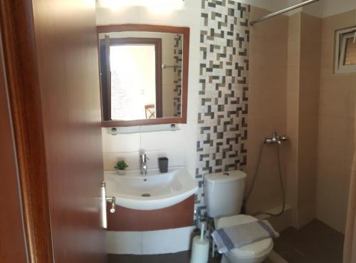 a bathroom with a sink and a toilet and a mirror at Villa Pappas in Kanali