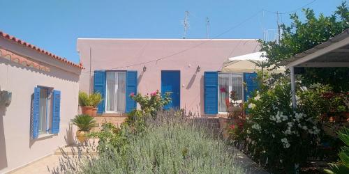 Κήπος έξω από το Aegina House