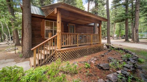 The Iris Cabin #1 – Photos 3