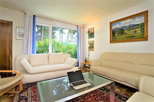 a living room with a couch and a laptop on a glass table at Ferienhaus am Traunsee mit Bergsicht in Traunkirchen