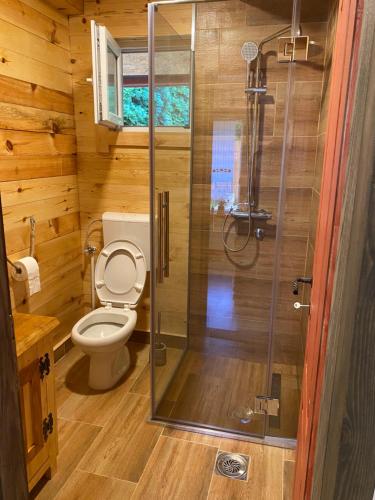 a bathroom with a toilet and a glass shower at Brvnara kraj Dunava Zelena Oaza in Banoštor