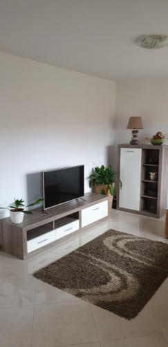 a living room with a flat screen tv and a rug at Apartman Lena in Pula