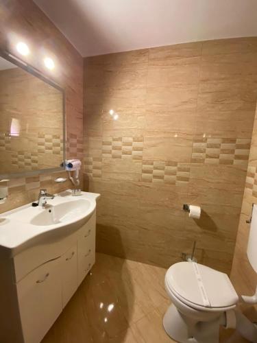 a bathroom with a toilet and a sink and a mirror at Pensiunea Maria in Durau