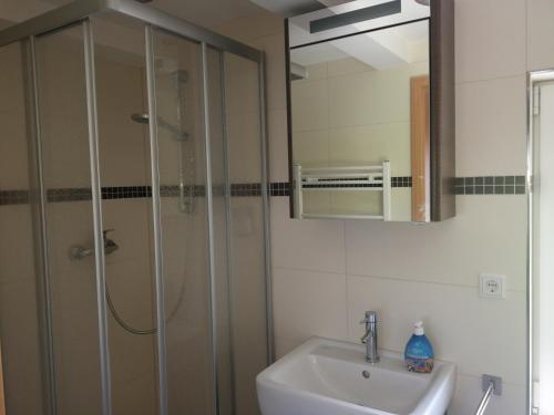 bagno con doccia e lavandino di Ferienwohnung am Aschberg a Klingenthal