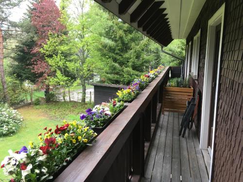 a porch with a row of flowers on it at Fuchs und Has' Gästehaus in Feldberg