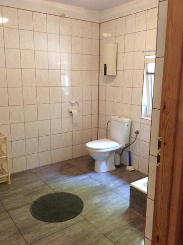 a bathroom with a white toilet in a room at Domek letniskowy Wczasowik 3 in Kruklanki