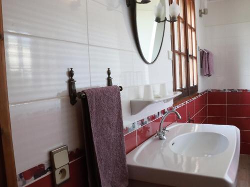 a bathroom with a sink and a mirror at Lo Rastelié in Suze-la-Rousse