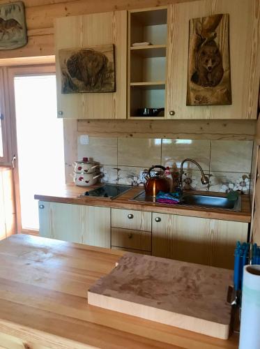 a kitchen with wooden cabinets and a sink at Serce Beskidu Niskiego in Świątkowa Mała