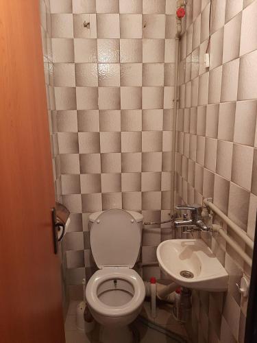 a small bathroom with a toilet and a sink at Apartment Milevi in Teteven
