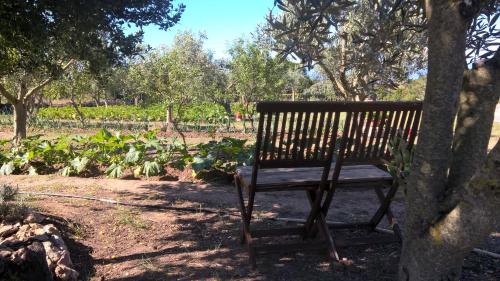 Ein Garten an der Unterkunft Arcamyrtus