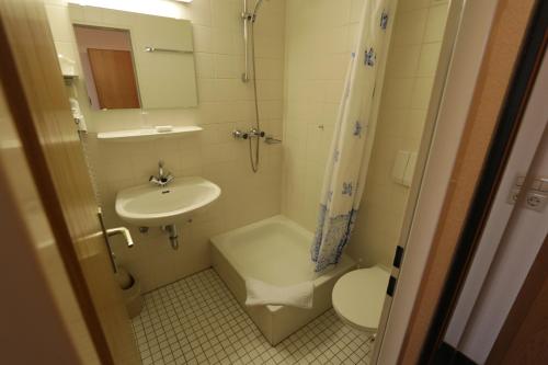 mała łazienka z umywalką i toaletą w obiekcie Hotel Riedel w mieście Żytawa