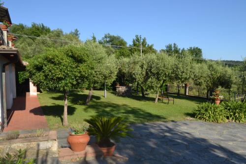 La Pippola de' Cerchi – Photos 3