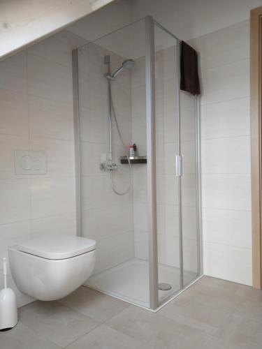 een badkamer met een douche, een toilet en een wastafel bij Ferienwohnung Regina in Berching