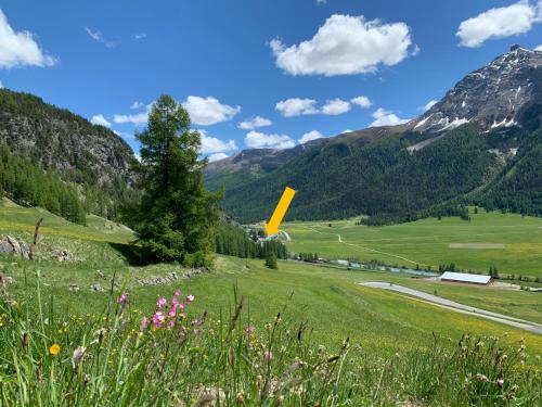 a yellow object in a green field in the mountains at Madulain Lodge @ Werkhof in Madulain