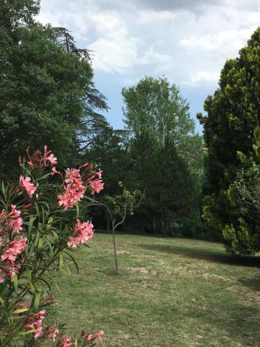 Сад в BASISA Bed&Breakfast