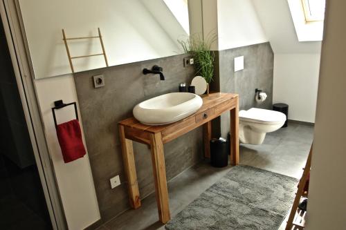 a bathroom with a sink and a toilet at Dom-i-Ziel Apartments in St. Blasien