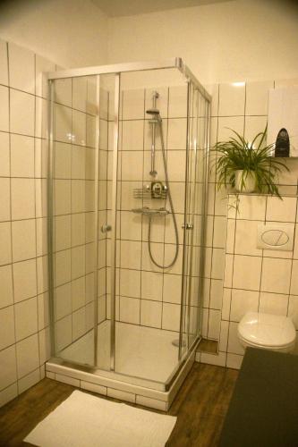 a shower with a glass enclosure in a bathroom at Vintage 2 Ferienwohnung für 2-3-4 in Schörfling