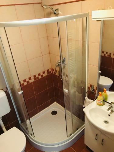 a bathroom with a shower and a sink at Aranyló Vendégház in Alsótelekes