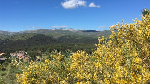 a view of the mountains and trees with yellow flowers at Artesano I y III in Navarredonda de Gredos