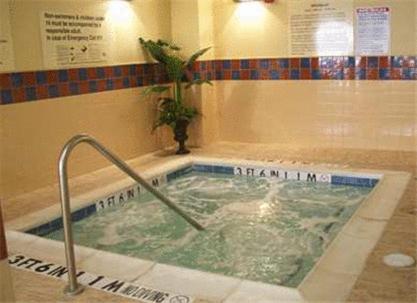 uma banheira de hidromassagem numa casa de banho com uma planta em Hampton Inn & Suites Fort Worth-West-I-30 em Fort Worth