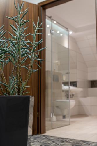 a potted plant sitting on a table in a bathroom at Hotel Bardo in Bardo