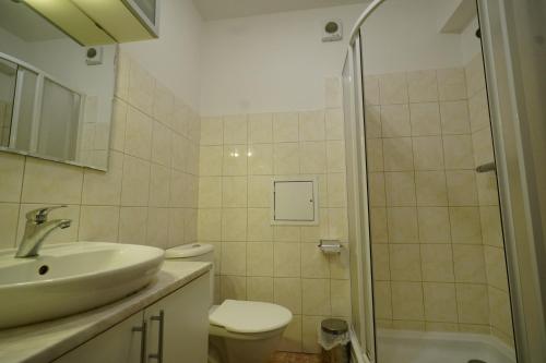 een badkamer met een wastafel, een toilet en een douche bij Harrachov Apartmán 206 in Harrachov