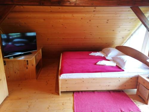 Šmarje pri JelšahにあるHoliday house apartment Voukov mlinのベッドとテレビのある小さな寝室