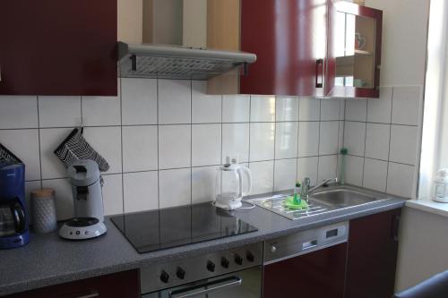 een keuken met een spoelbak en een aanrechtblad bij Ferienwohnung Altstadtdomizil in Wernigerode