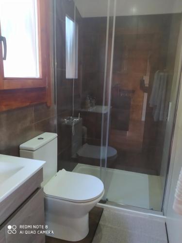 a bathroom with a toilet and a shower at Casa das Vinhas Velhas by Casa do Poço in Peso da Régua