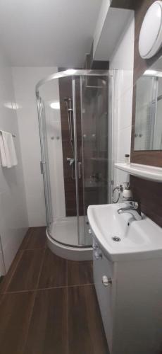 a bathroom with a shower and a sink at Dworek pod świerkami in Jelenia Góra
