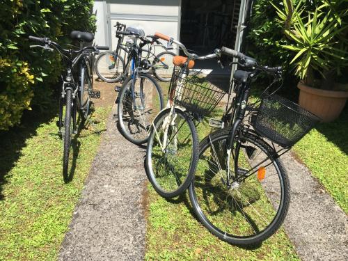 drei Fahrräder, die vor einem Haus geparkt sind in der Unterkunft Villa Feltran in Forte dei Marmi