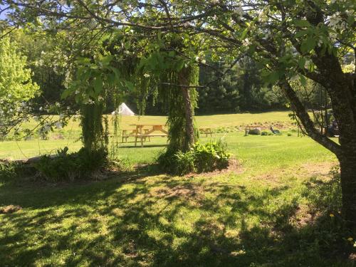 a park with a bench in the middle of a field at Craftsbury Farmhouse in Craftsbury