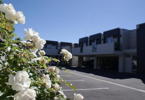 a parking lot with white flowers in front of a building at Bellano Motel Suites in Christchurch