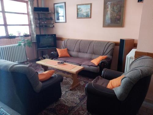 - un salon avec deux canapés et une table basse dans l'établissement Apartman Dunja i Miloš, à Mokra Gora
