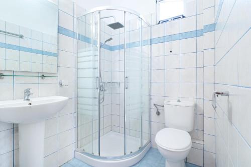クリッシ・アモウディアにあるApollonioのバスルーム(シャワー、トイレ、シンク付)