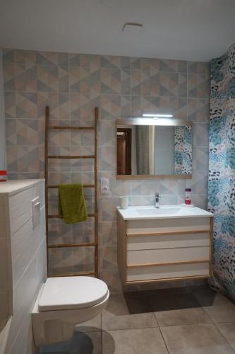 une salle de bain avec un lavabo, des toilettes et un miroir dans l'établissement Appartement Gaudin, à Bastia