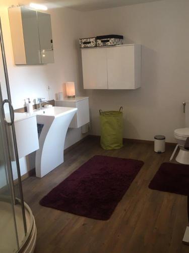 a small kitchen with a sink and a white counter at Ferienwohnungen Blume am Schloßberg in Bad Berka